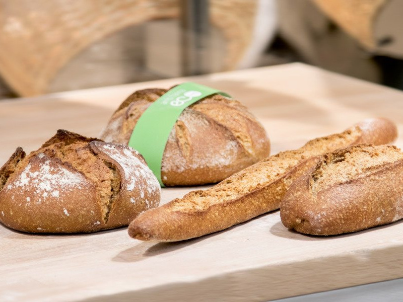 Nuevo decreto ley del pan: ¡te lo explicamos!