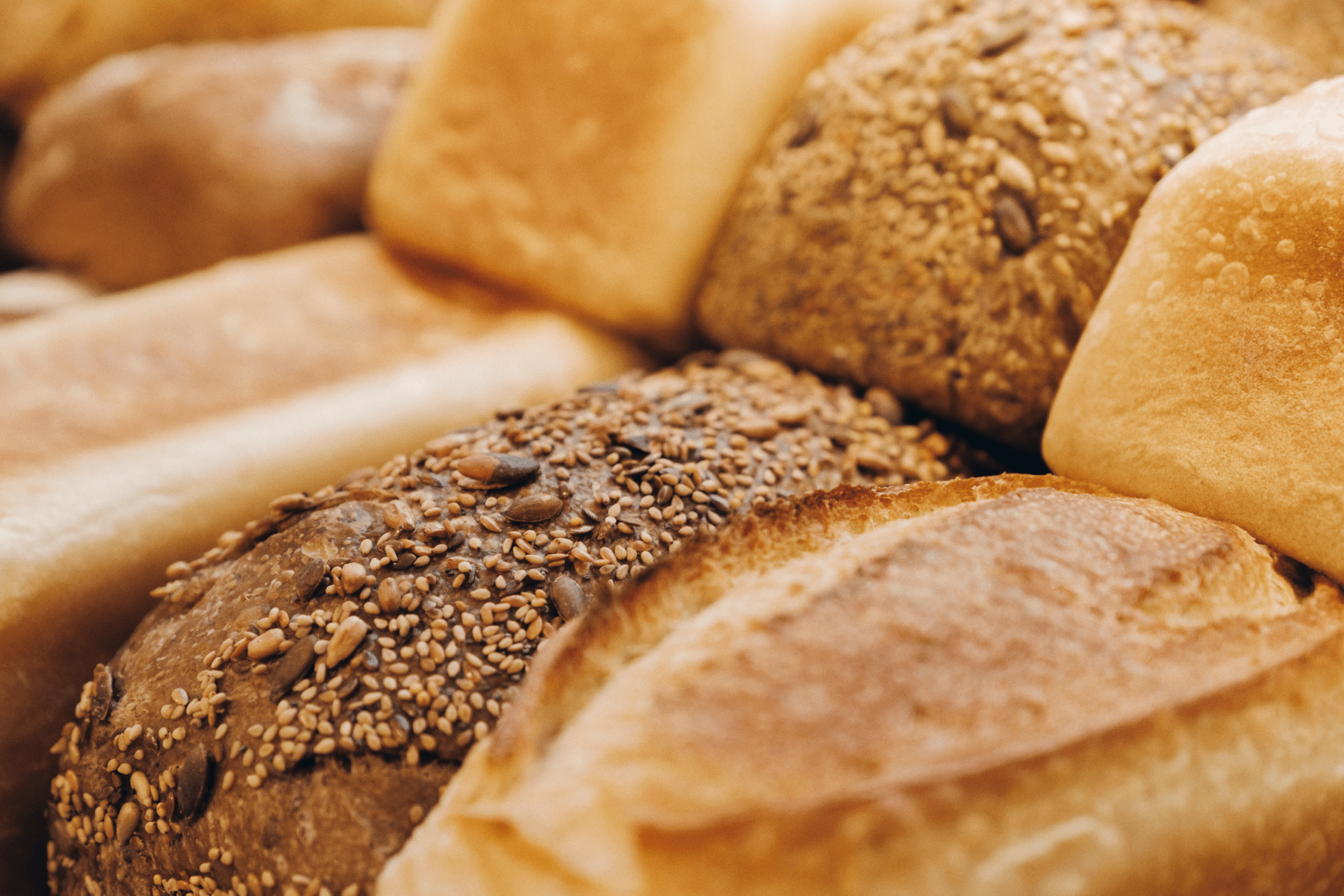 ¿Es saludable el Pan de Molde?